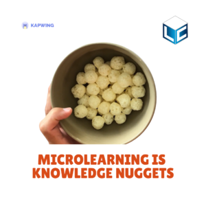 055-microlearning is knowledge nuggets