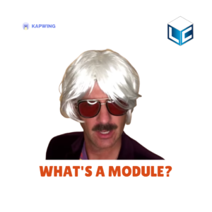 what is a module